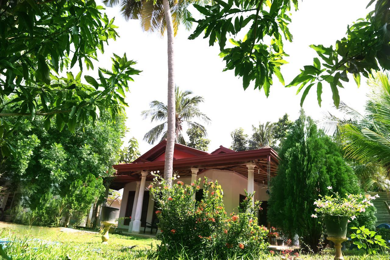 New Vilard Tissamaharama Luaran gambar
