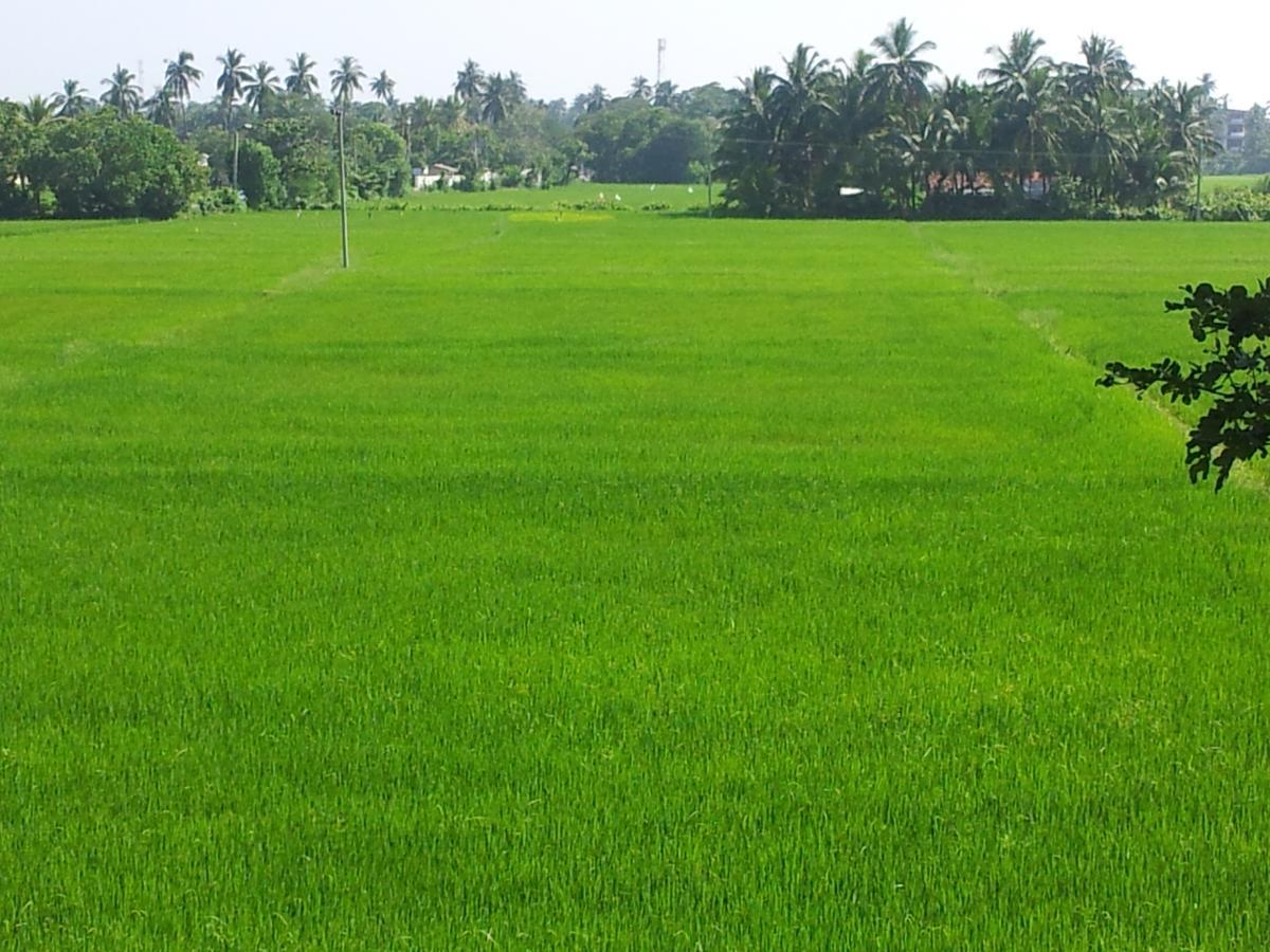 New Vilard Tissamaharama Luaran gambar
